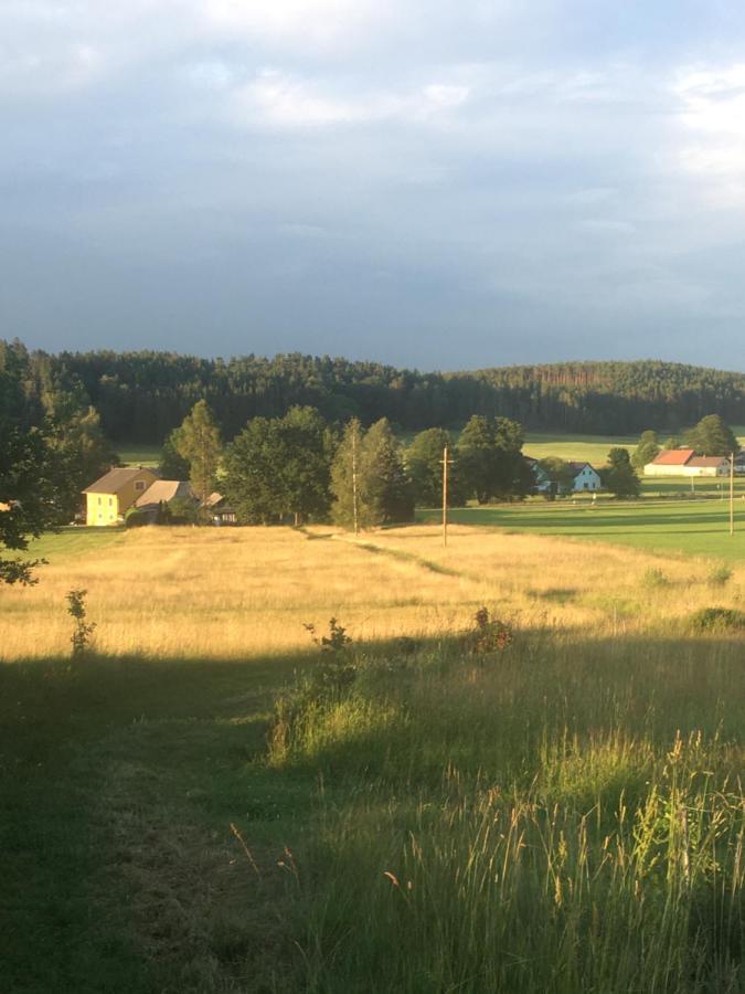 Familienapartments Mit Balkon Und Garten Ober-Lembach Экстерьер фото